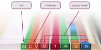 File Classification Tips