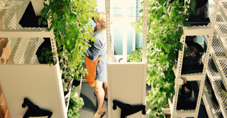 Brighterside Vertical Farms - High-density vertical rack for indoor vegetable farm